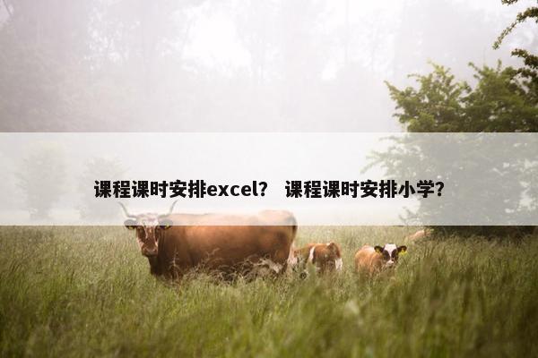 课程课时安排excel？ 课程课时安排小学？