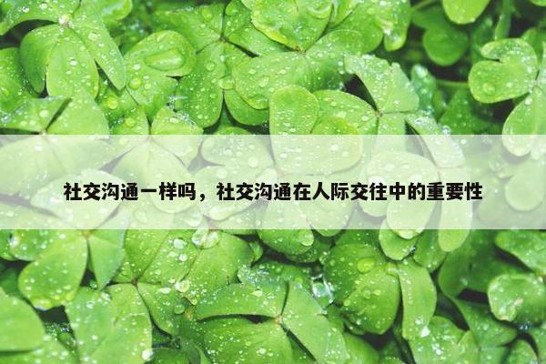 社交沟通一样吗，社交沟通在人际交往中的重要性