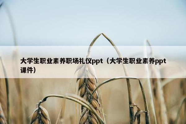 大学生职业素养职场礼仪ppt（大学生职业素养ppt课件）