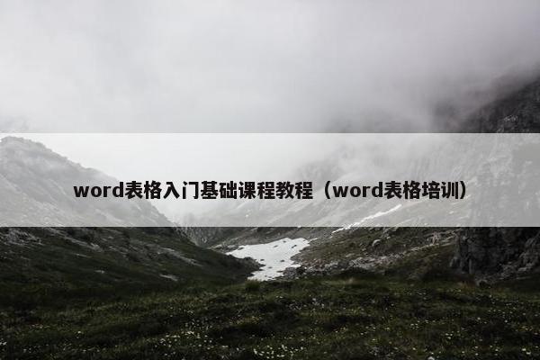 word表格入门基础课程教程（word表格培训）