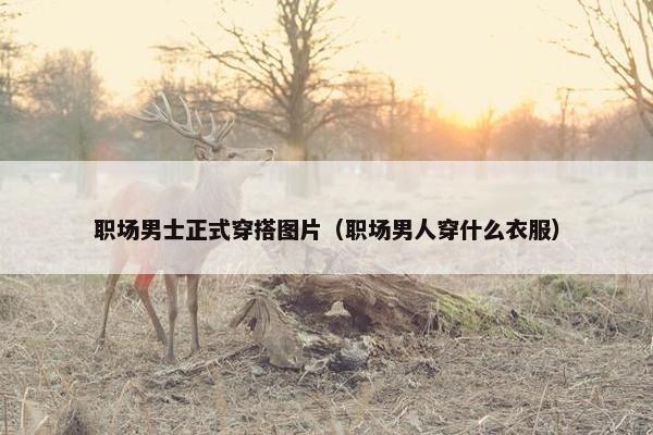 职场男士正式穿搭图片（职场男人穿什么衣服）