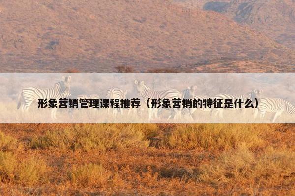 形象营销管理课程推荐（形象营销的特征是什么）