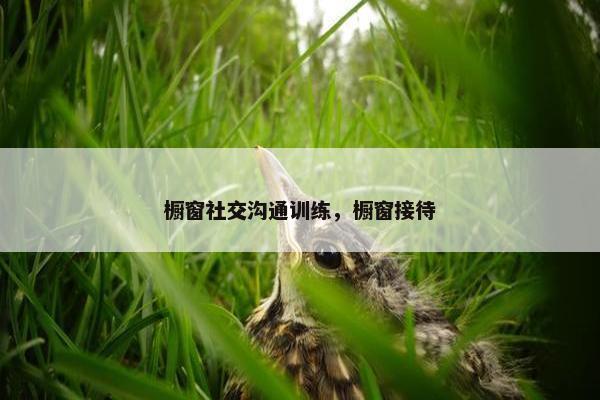 橱窗社交沟通训练，橱窗接待