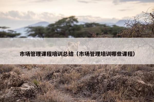 市场管理课程培训总结（市场管理培训哪些课程）