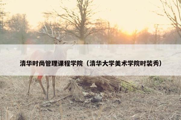 清华时尚管理课程学院（清华大学美术学院时装秀）