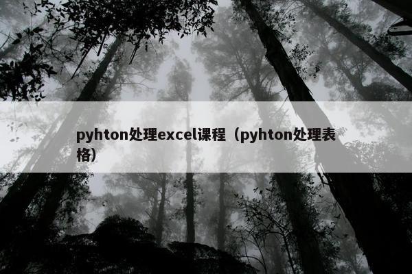 pyhton处理excel课程（pyhton处理表格）