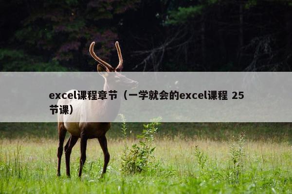 excel课程章节（一学就会的excel课程 25节课）