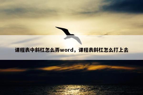 课程表中斜杠怎么弄word，课程表斜杠怎么打上去