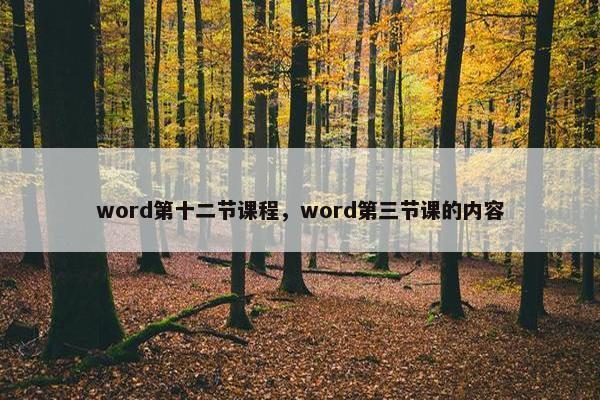word第十二节课程，word第三节课的内容