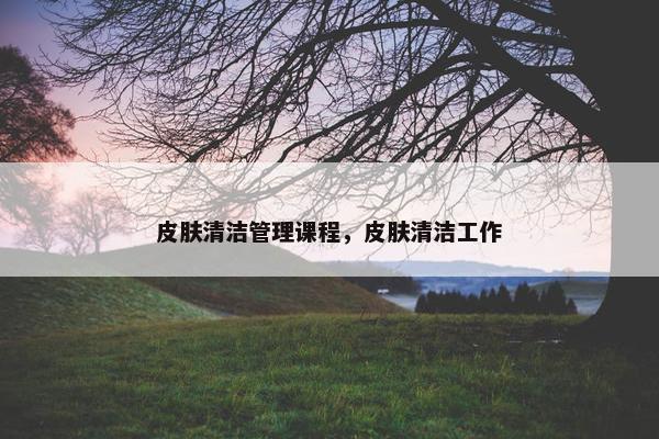 皮肤清洁管理课程，皮肤清洁工作