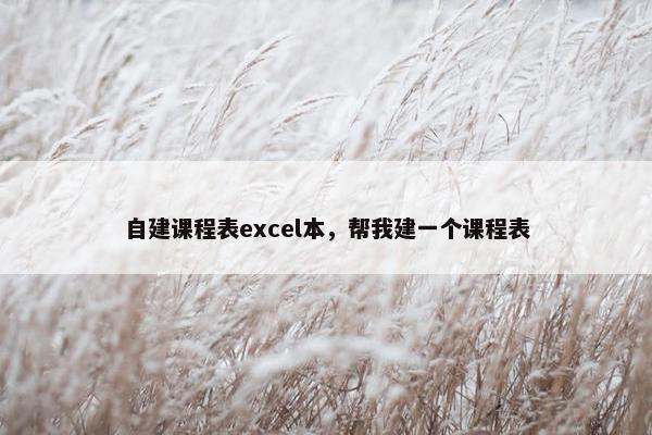 自建课程表excel本，帮我建一个课程表