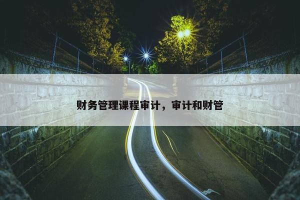 财务管理课程审计，审计和财管