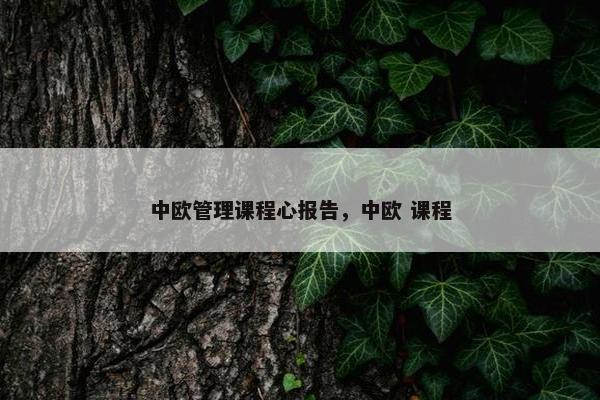 中欧管理课程心报告，中欧 课程