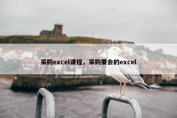 采购excel课程，采购要会的excel
