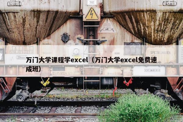 万门大学课程学excel（万门大学excel免费速成班）