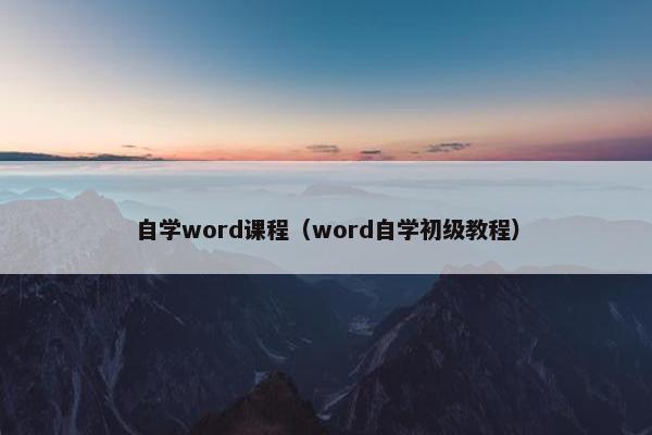 自学word课程（word自学初级教程）