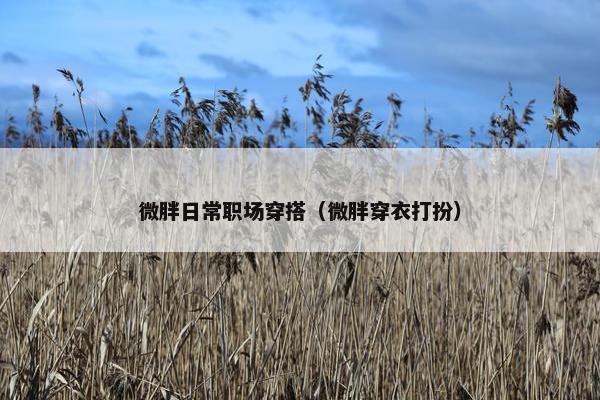 微胖日常职场穿搭（微胖穿衣打扮）