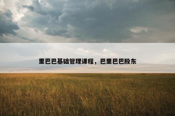 里巴巴基础管理课程，巴里巴巴股东