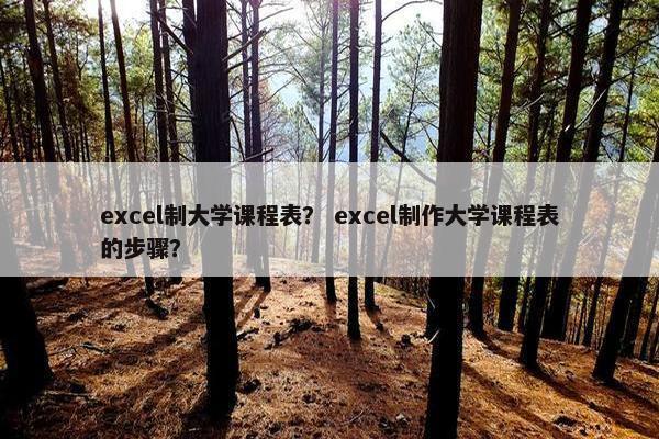 excel制大学课程表？ excel制作大学课程表的步骤？