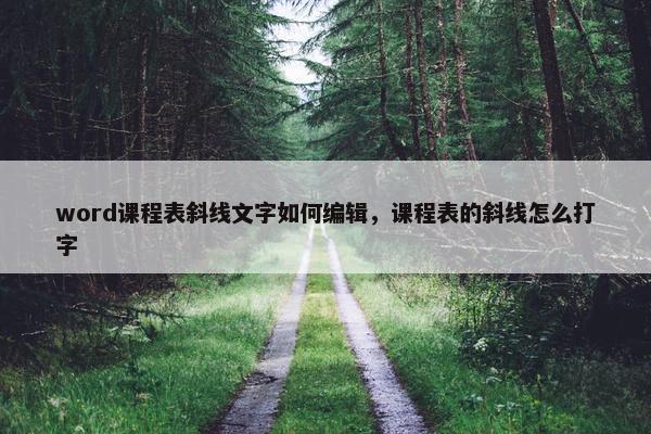 word课程表斜线文字如何编辑，课程表的斜线怎么打字