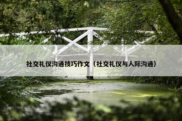 社交礼仪沟通技巧作文（社交礼仪与人际沟通）