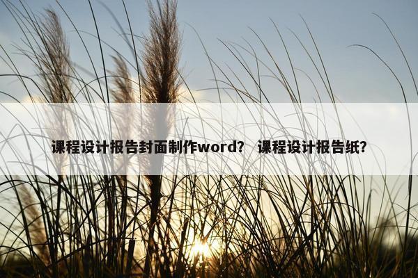 课程设计报告封面制作word？ 课程设计报告纸？