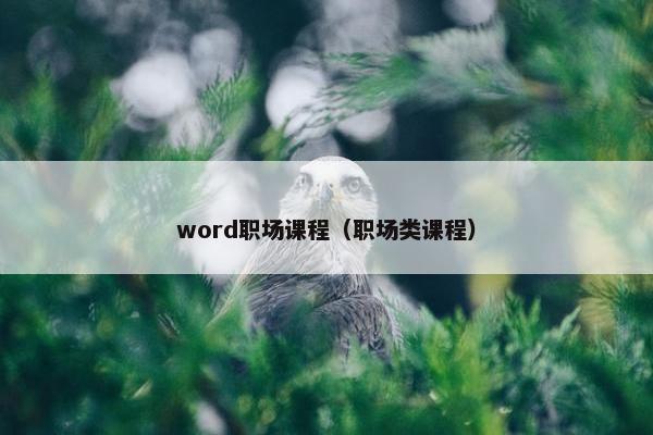 word职场课程（职场类课程）