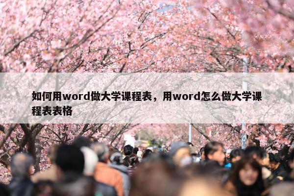 如何用word做大学课程表，用word怎么做大学课程表表格