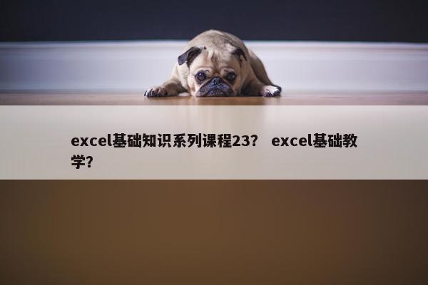 excel基础知识系列课程23？ excel基础教学？
