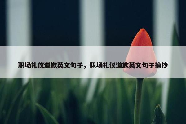 职场礼仪道歉英文句子，职场礼仪道歉英文句子摘抄