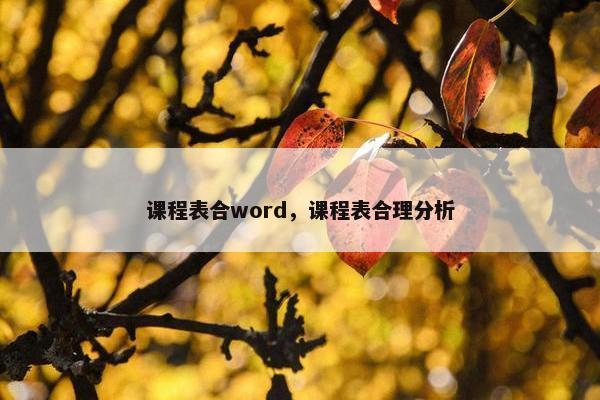 课程表合word，课程表合理分析