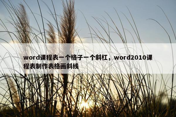 word课程表一个格子一个斜杠，word2010课程表制作表格画斜线