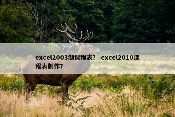 excel2003制课程表？ excel2010课程表制作？