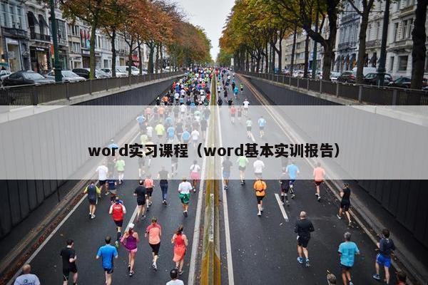 word实习课程（word基本实训报告）