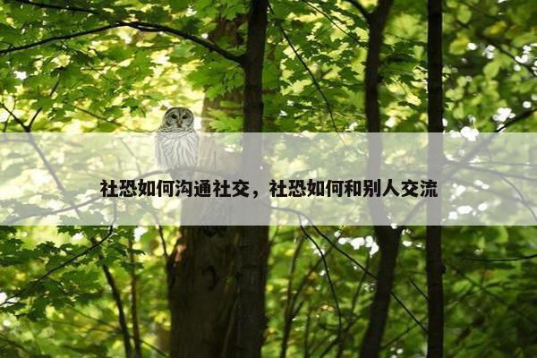 社恐如何沟通社交，社恐如何和别人交流