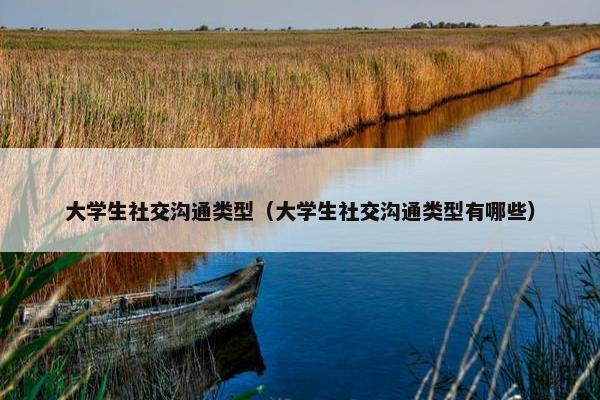 大学生社交沟通类型（大学生社交沟通类型有哪些）