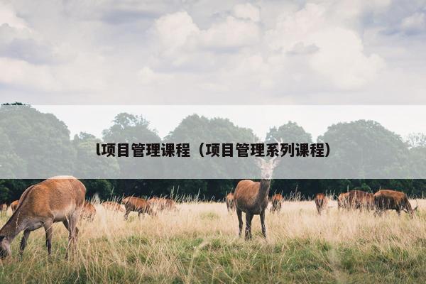 l项目管理课程（项目管理系列课程）