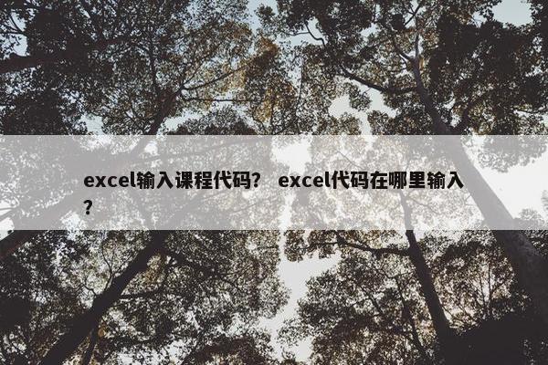 excel输入课程代码？ excel代码在哪里输入？