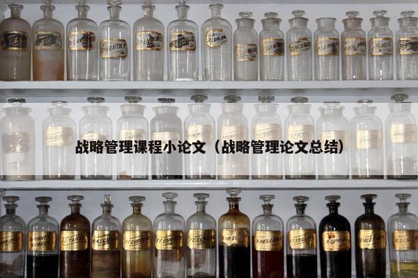 战略管理课程小论文（战略管理论文总结）
