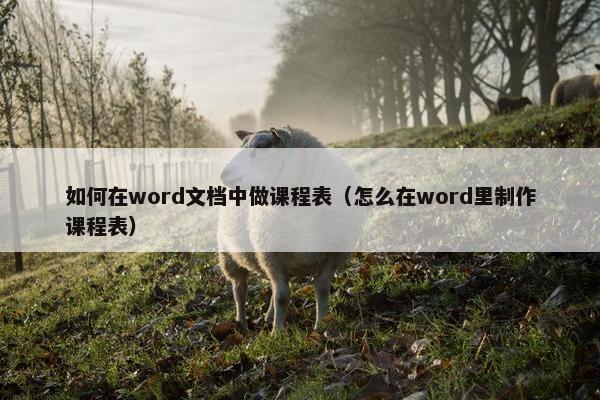 如何在word文档中做课程表（怎么在word里制作课程表）