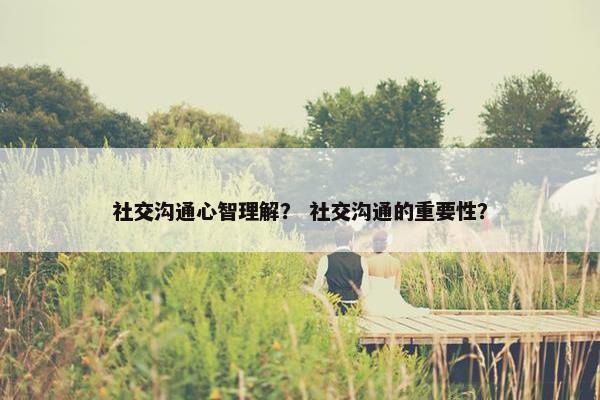 社交沟通心智理解？ 社交沟通的重要性？