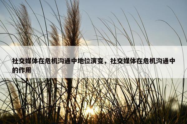 社交媒体在危机沟通中地位演变，社交媒体在危机沟通中的作用