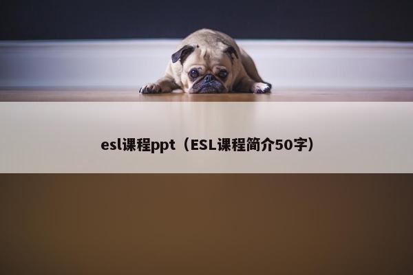 esl课程ppt（ESL课程简介50字）