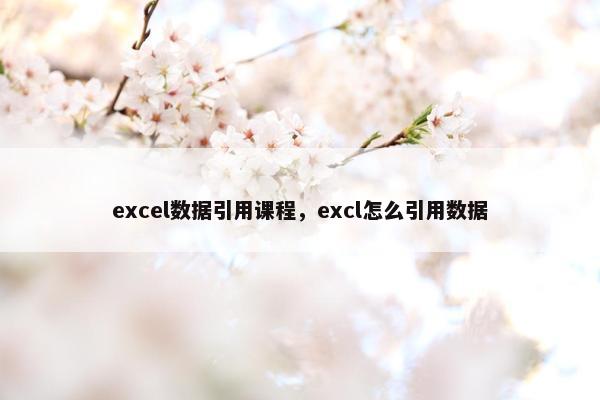 excel数据引用课程，excl怎么引用数据