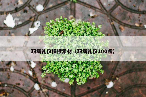 职场礼仪模板素材（职场礼仪100条）