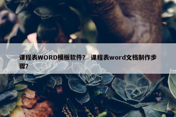 课程表WORD模板软件？ 课程表word文档制作步骤？