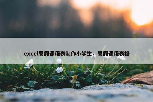 excel暑假课程表制作小学生，暑假课程表格