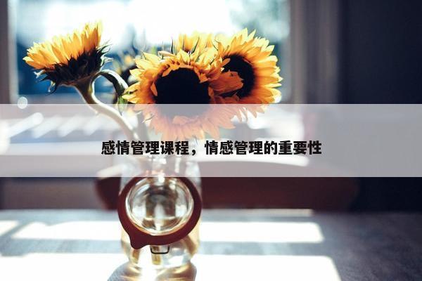 感情管理课程，情感管理的重要性