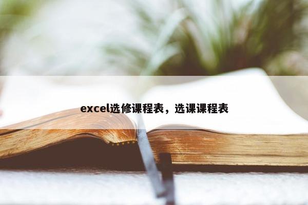 excel选修课程表，选课课程表