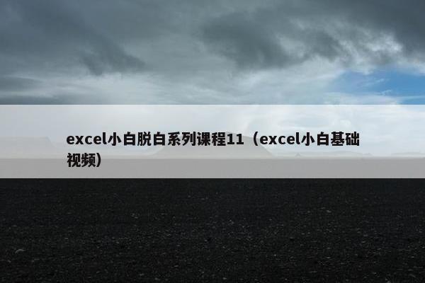 excel小白脱白系列课程11（excel小白基础视频）